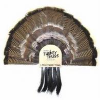 QB THUGS FAN MOUNT 5 BEARD HOLDER - 99801