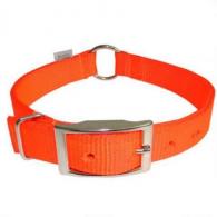 PR DOG COLLAR 1X22" ORANGE