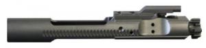 AM AR15 COMPLETE BOLT CARRIER GROUP 5.56/.223