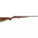 Steyr Arms ZEPHYR II .22 LR 25 NON THREADED - 701511A0