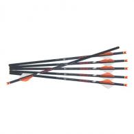 Ravin R18 Arrows MW 350GR 6PK .003 - R146 Ravin R18 Arrows MW 350GR 6PK .003 - R146