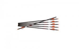 Ravin Arrows 500GR HD 6PK .001 - R149
