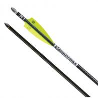 TENPOINT EVO-X CARBON ARROWS 20 METAL - HEA7426