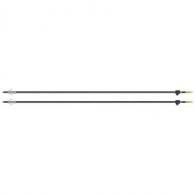 CENTERPOINT BOWFISHING ARROWS 2PK - ABFA2PK