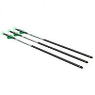 CENTERPOINT PREMIUM ARROWS W/ LIGHTED NOCKS - AXCCA203PK CENTERPOINT PREMIUM ARROWS W/ LIGHTED NOCKS - AXCCA203PK