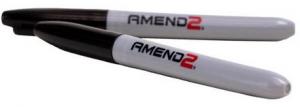 AMEND2 SELF-DEFENSE PEN