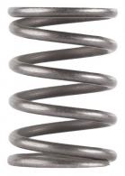 DAIR PISTON SPRING FOR GHOST ODESSA MOJAVE 9 - DA013