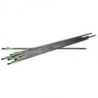 BENJAMIN PIONEER AIRBOW ARROWS - AB6PKA