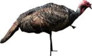 MONTANA DECOY TURKEY JAKE - 0061