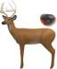 BIG SHOT TARGETS PRO HUNTER - 3D110