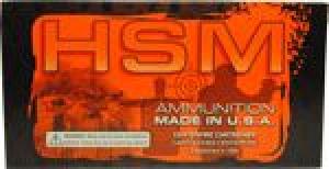 Main product image for HSM Hornady V-Max Polymer Tip 300 AAC Blackout Ammo 110 gr 20 Round Box