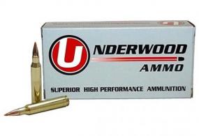 Underwood Ammo 458 Hammmer, 300 Grain, Ballistic Tip, 20/box - 465