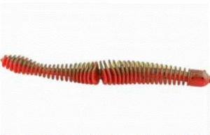 BB 4.75" COONTAIL WTRMN RED FLK 7PK - 4CONT-01