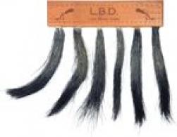 PITTMAN GAME CALLS LONG BEARD - P701 PITTMAN GAME CALLS LONG BEARD - P701