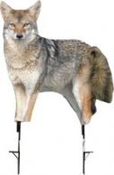 MONTANA DECOY COYOTE SONG DOG - 0079