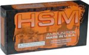 HSM AMMO .22 HORNET 35GR. - 22H-3HN