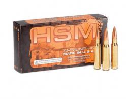 HSM AMMO .300 Black BLACKOUT - 300BLK-13-N