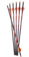 RAVIN XBOW ARROW CARBON R500 - R120