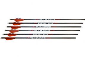 PSE Xbow Arrow Thunderbolt 22" fits PSE Fang Xbow 6pk - 1960THU22FM