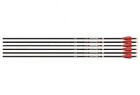 Easton Arrow 6.5MM Match Grade - 901364