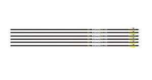 EASTON ARROW 5.0 500 2" BLAZER - 302012 EASTON ARROW 5.0 500 2" BLAZER - 302012