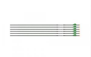 EASTON ARROW 5MM FMJ MAX 340 - 101985