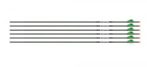EASTON ARROW 5MM FMJ MAX 300 - 201961