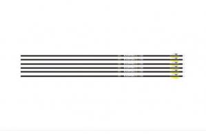 EASTON ARROW 5.0 300 2" BLAZER - 002042