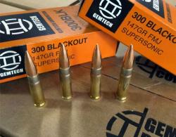GEMTECH 300BLK 147GR FMJ 20/500 - AMMO-300BLK-147