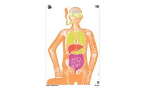 ALLEN EZ AIM 23X35 MAKIN BONES 3PK - 15656