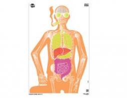 ALLEN EZ AIM 23X35 MAKIN BONES 3PK - 15656 ALLEN EZ AIM 23X35 MAKIN BONES 3PK - 15656