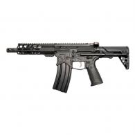 Battle Arms Silent Professional .300 AAC Short Barrel Semi-automatic Rifle - SP-001