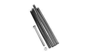 TRUE PREC RECOIL SPNG P365 FUSE 4.3" - FUSESTK