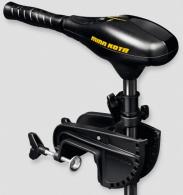 TROLLING MOTOR, ENDURA C2 55, 42" - 1352256