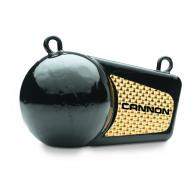 DOWNRIGGER, 6 LB FLASH TROLLING - 2295180