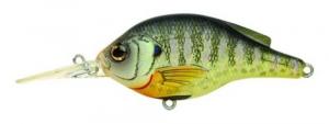 Bluegill Natural Matte - BG57M100