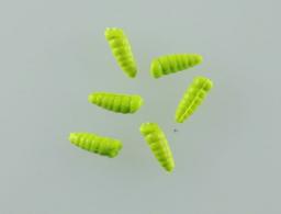 Berkley GAJWX-CH Gulp Alive Waxies - GAJWX-CH