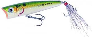 Rebel P66ZBD-R Super Pop-R Topwater