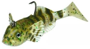 Wildeye Live Goby - WLG03NT