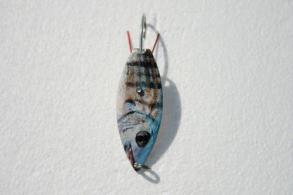 Aqua Dream WSPF 1/4 Live Bait - WSPF 1/4