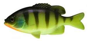 Jackall Clone Gill Bluegill - JCLNGIL-B