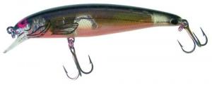 Bomber Long A Minnow Chart Flash - B14A-XCHO