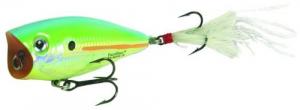 Pop'n Image - Citrus Shad - X9219-DCS