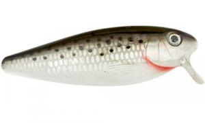 Swim'n Image™ - X9230-SST