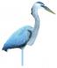 Great Blue Heron - 5960CD