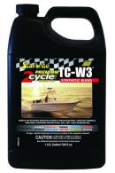 Star Brite 19000 2-Cycle Engine Oil - 19000