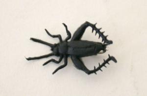 Creme Small Black Cricket - 5148-22