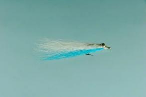 Clauser Minnow - 619-2