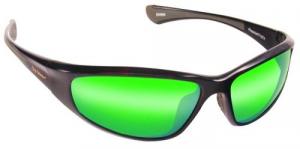 Phoenix Sunglasses - Tortise/Green - 7718TA