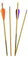 Carbon Express Thunder Express Arrows Black 26 in. 3 pk. - G0326